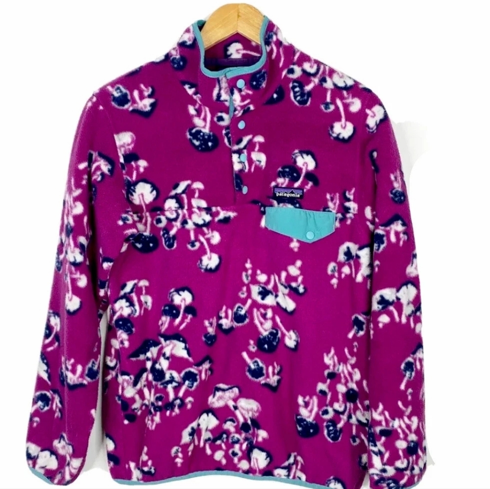 Patagonia Synchilla Mushroom Fleece Pullover